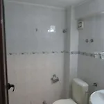 Papagal Hostel *