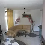 Hostel Papagal *