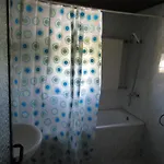 Hostel Papagal *