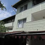 Papagal * Varna