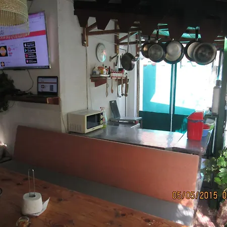 Papagal Hostel
