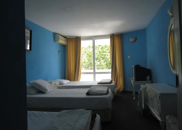 Papagal Vandrerhjem *