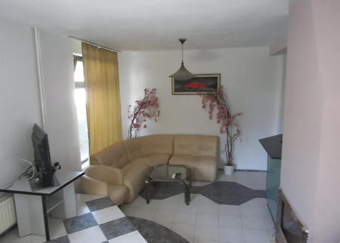 Vandrerhjem Papagal *