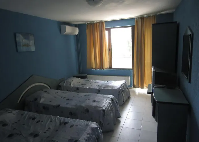 Papagal Vandrerhjem *