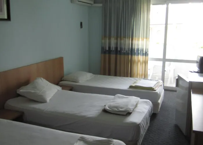 Papagal Vandrerhjem *