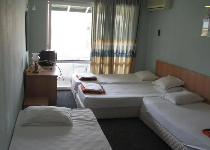 Vandrerhjem Papagal Varna