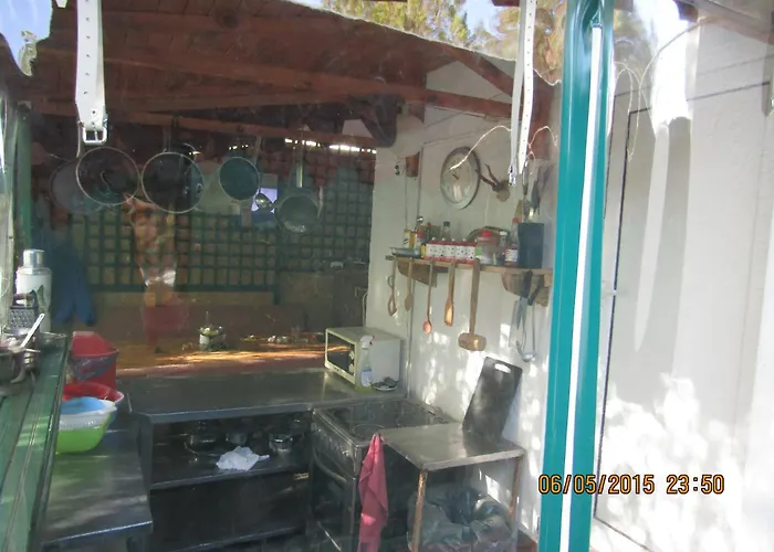 Vandrerhjem Papagal *