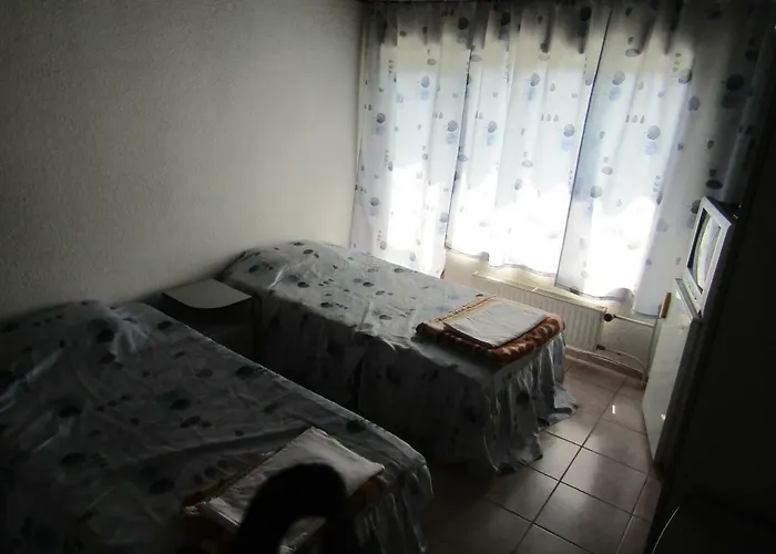 Papagal Vandrerhjem *