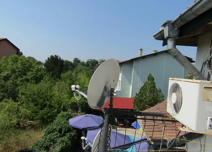 Papagal Vandrerhjem Varna