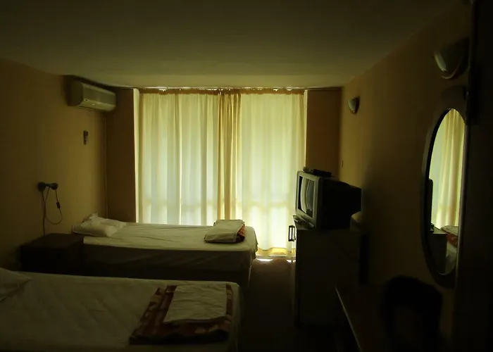 Papagal Vandrerhjem *