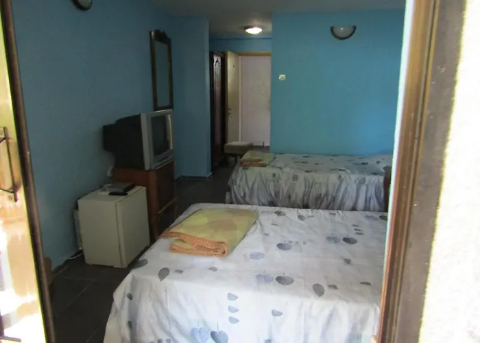 Vandrerhjem Papagal *