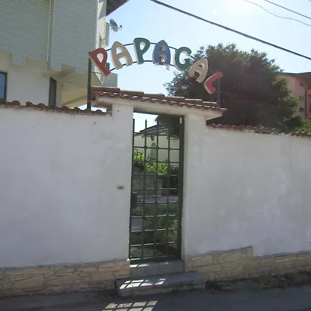ホステル Papagal *