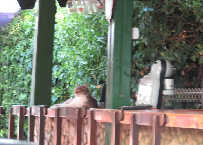 호스텔 Papagal 바르나